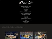 Tablet Screenshot of fisheyeguyphotography.com